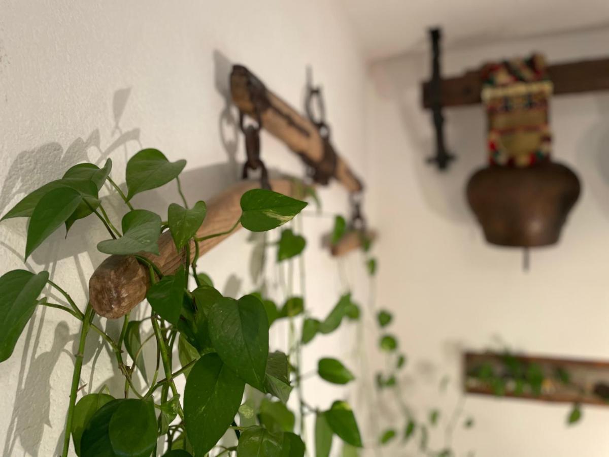 Hotel Landhuus Frauenkirch Zewnętrze zdjęcie